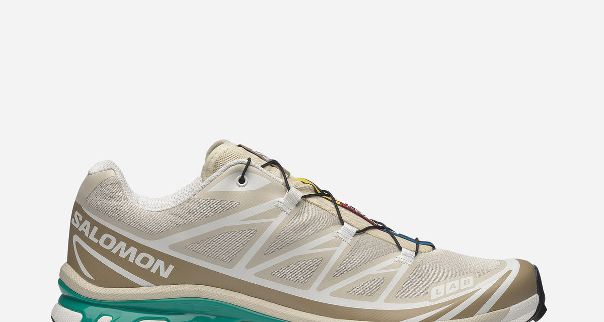 Salomon XT-6 Chinchilla Dynasty Green L47864300