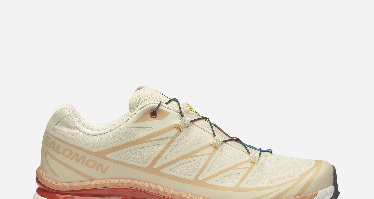Salomon XT-6 Gore-tex Almond Milk / Soft Clay/ Ochre L47865200