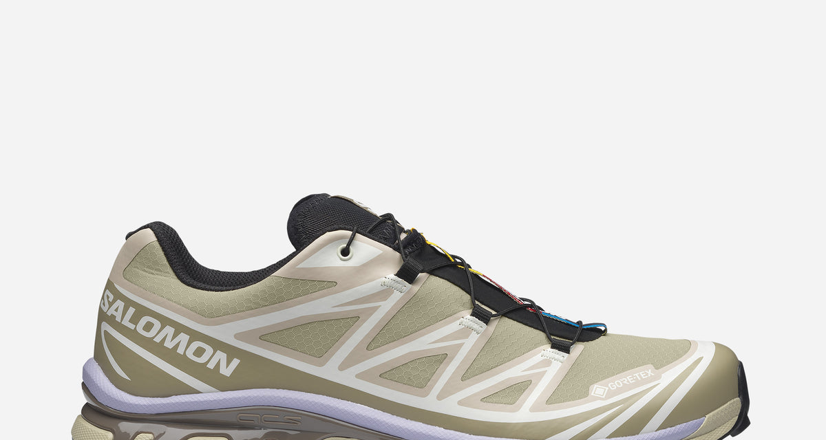 Salomon XT-6 Gore-Tex Eucalyptus/SilverSage/Cosmic L49202300