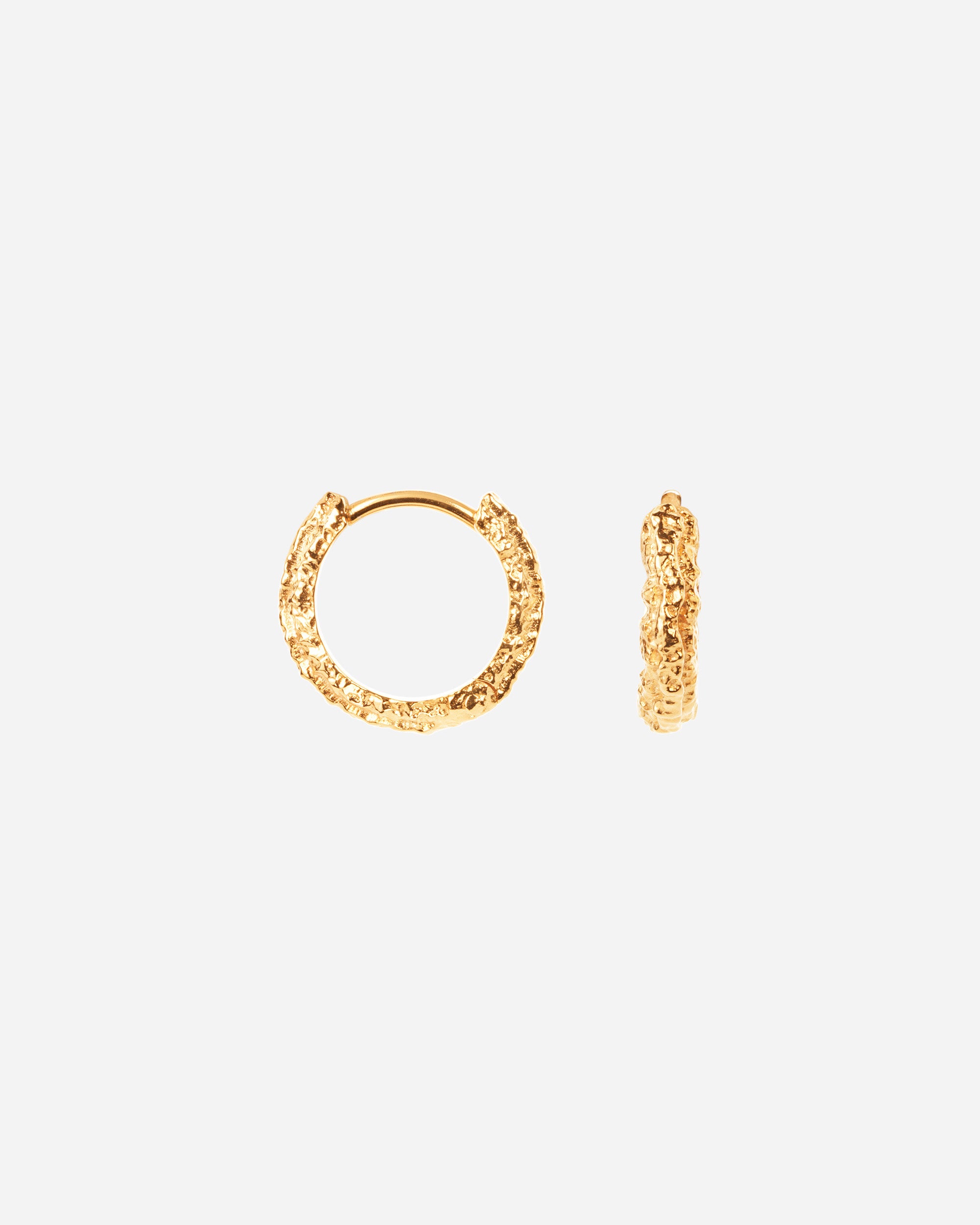 Camille Brinch Small Sparkly Hoops Gold SSPH-FG