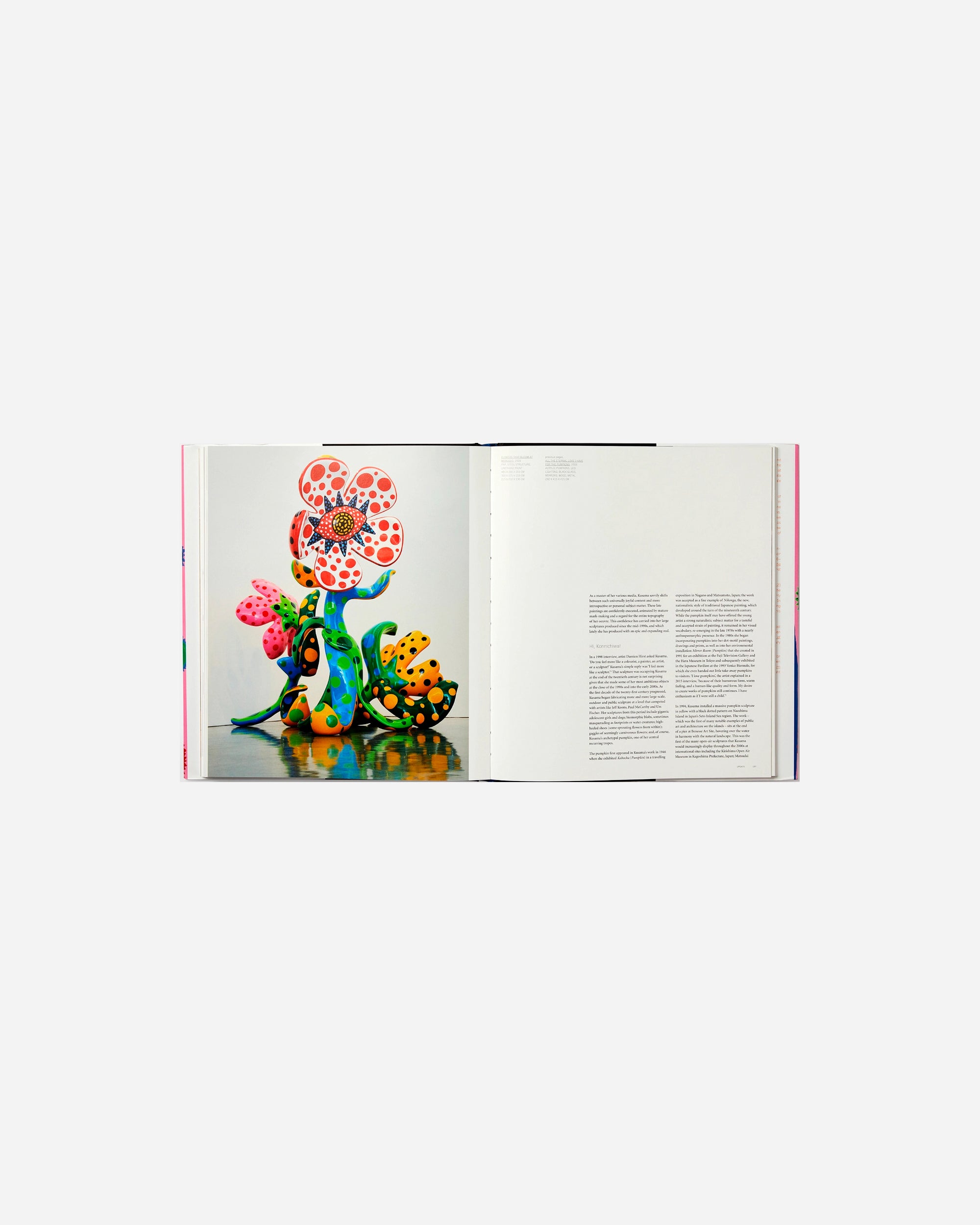 Phaidon Yayoi Kusama Multicolor PH1277