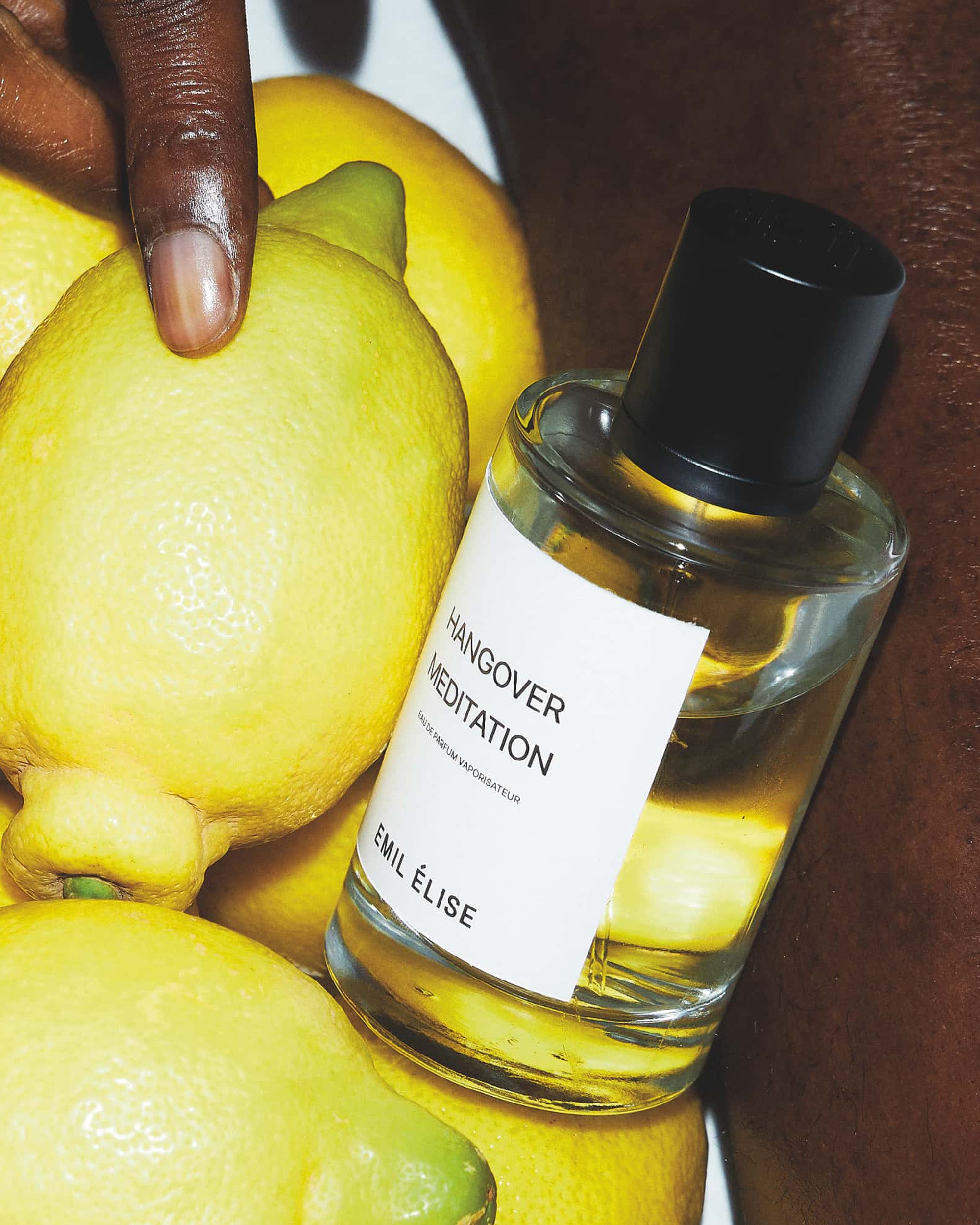 EMIL ÉLISE Hangover Meditation EdP 100 ml Multi 040203
