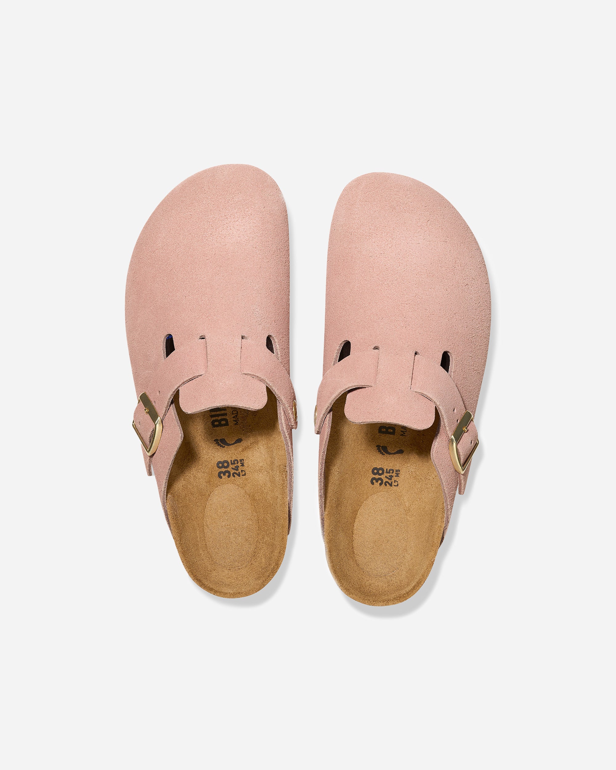 Boston LEVE - Main Image