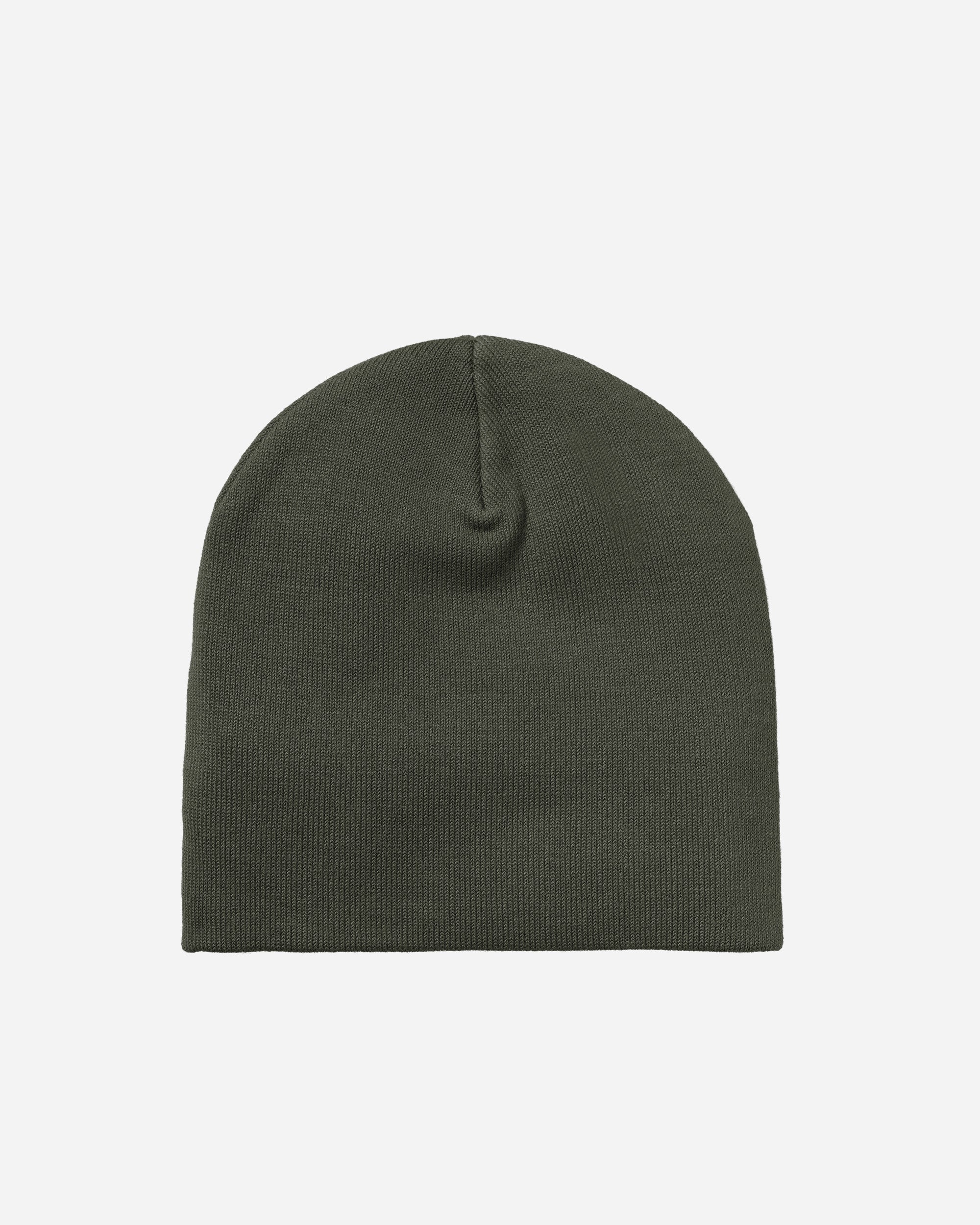 Carhartt WIP Scripter Beanie Opuntia I033358-2ZXXX
