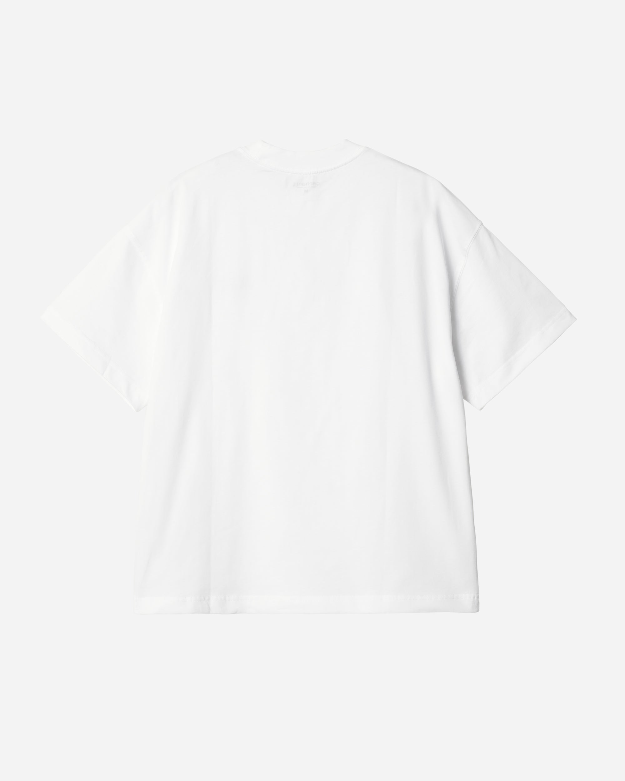 Carhartt WIP Signature Script T-Shirt White / Dusty Ice I033828-2JIXX