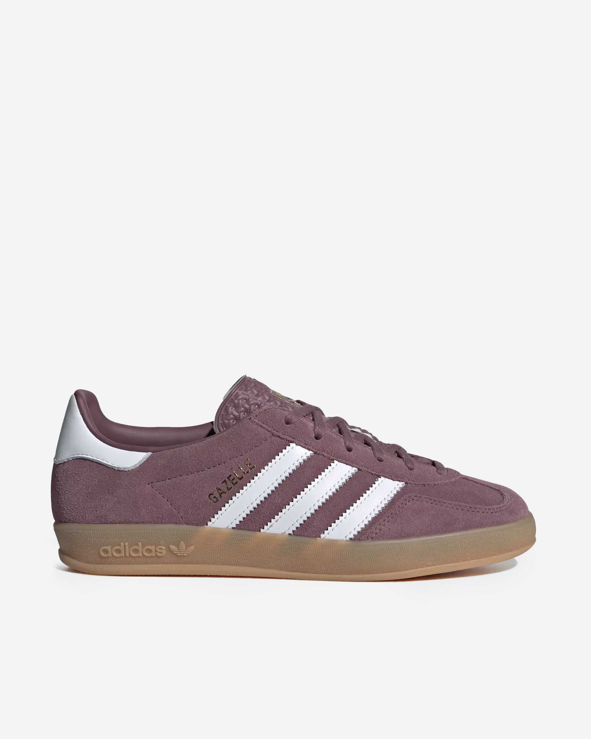 Gazelle Indoor