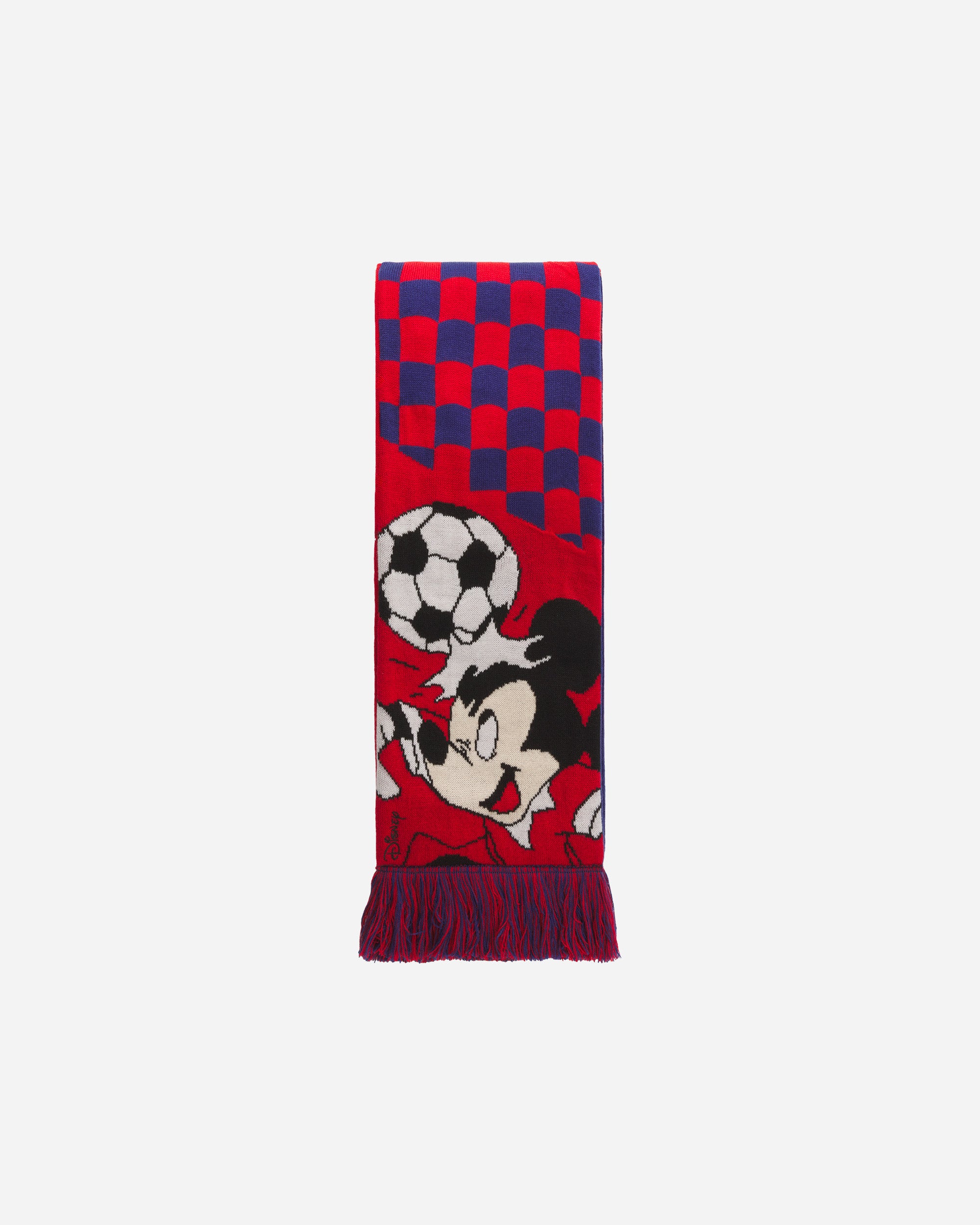 adidas Originals x Brain Dead x Disney Scarf