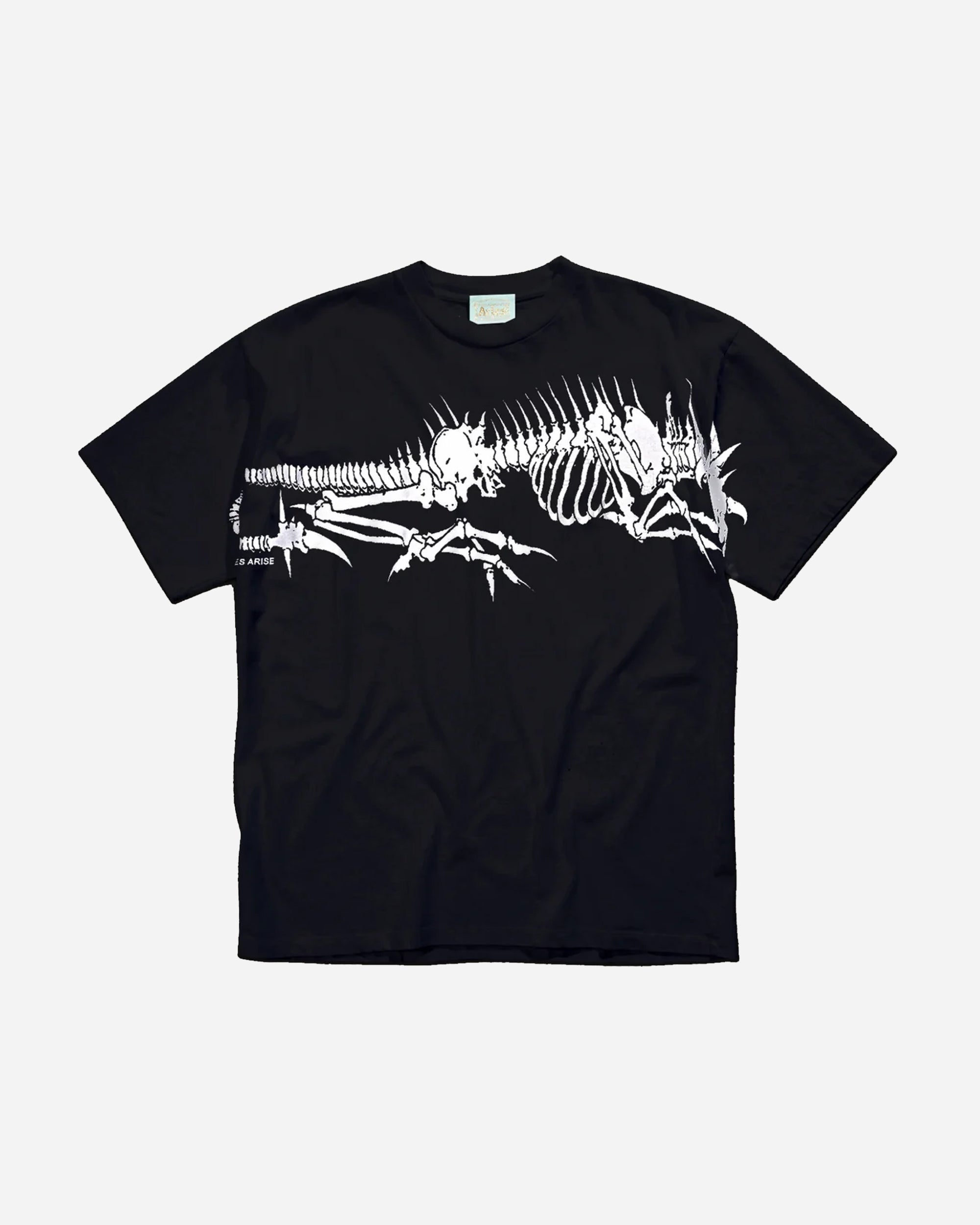 ARIES Dragon Skeletor T-shirt Black   RUAR60010