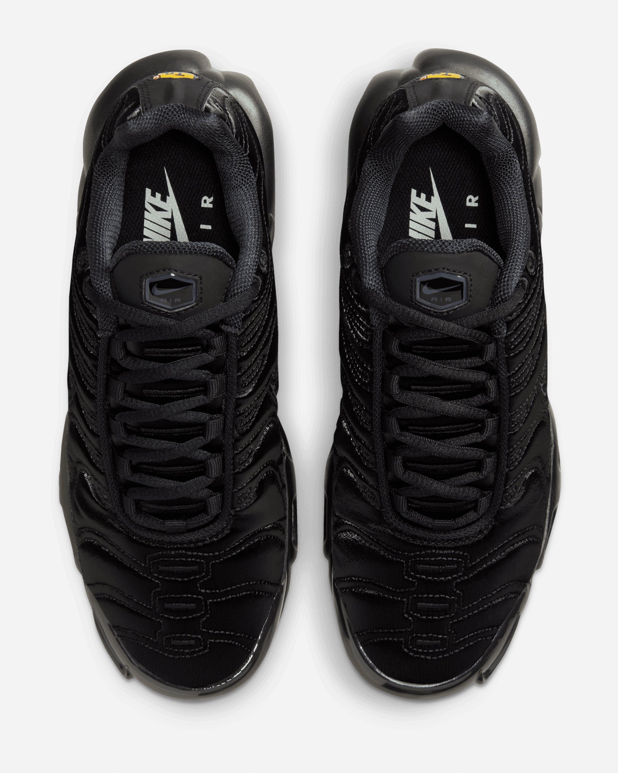 Nike Air Max Plus BLACK/BLACK-ANTHRACITE-SAIL FV1169-001